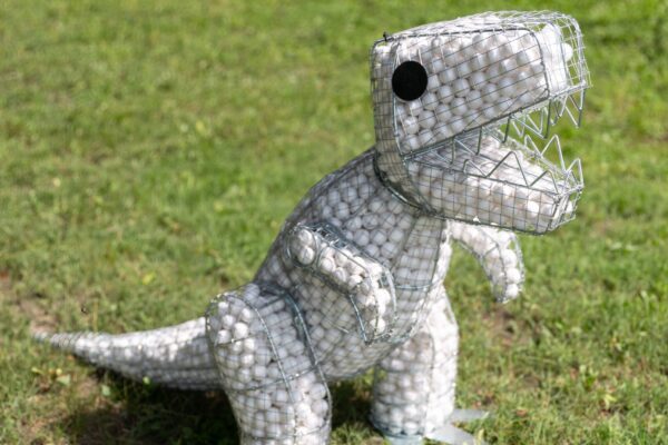 Dinoszauruszok – Amikor az óriások uralkodtak a Földön